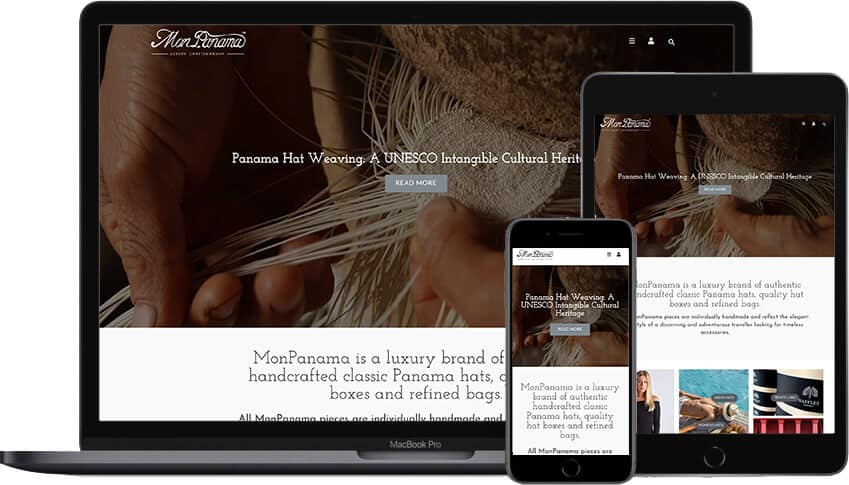 Web Design Portfolio MonPanama